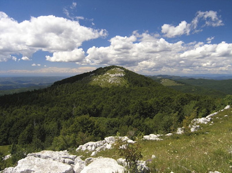 Izlet Brgudac - Korita - Veliki Planik