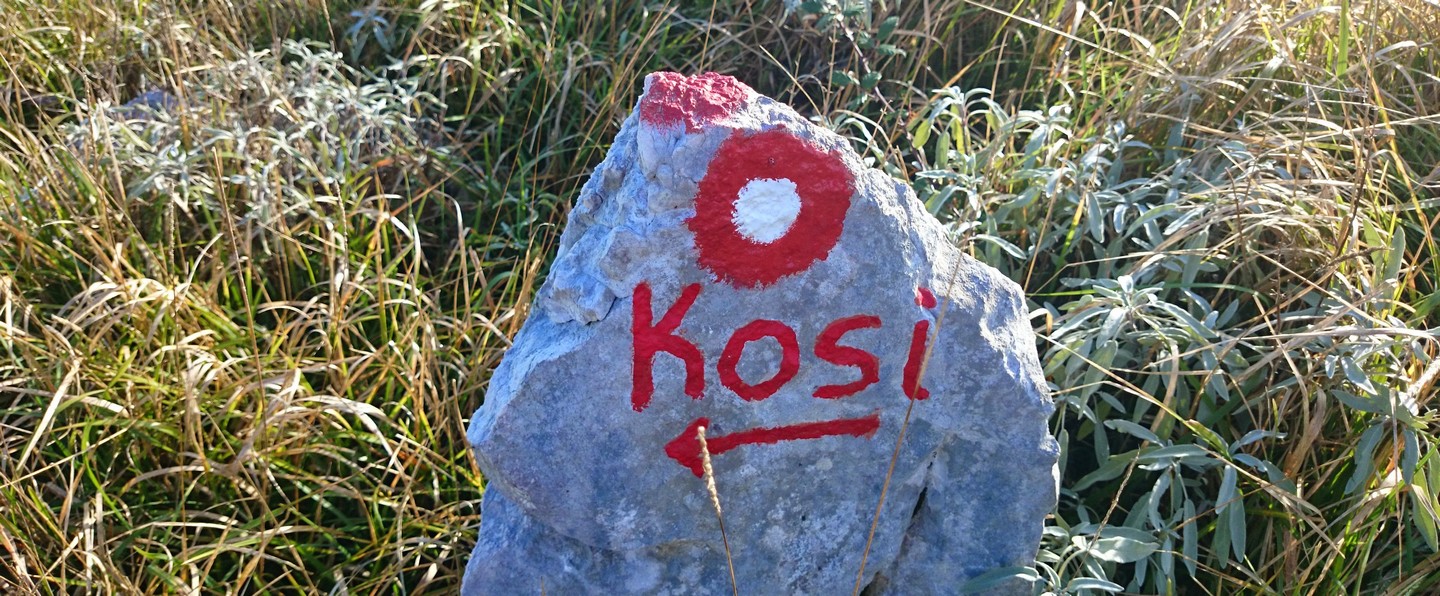 Kosi